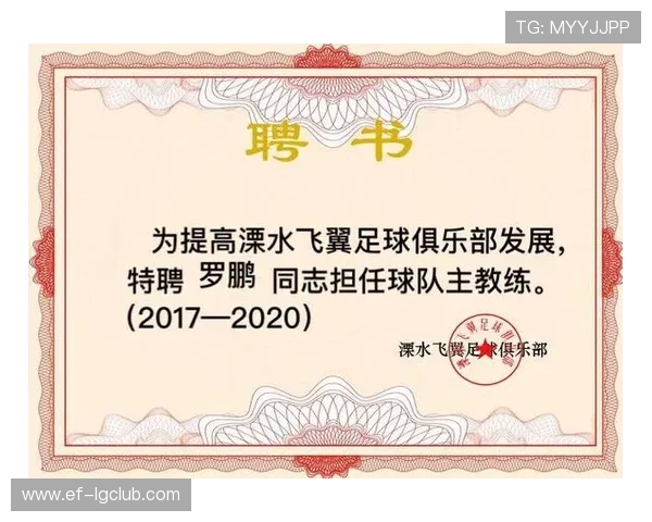 足球队员聘书模板范文及其规范要求解析与应用指南